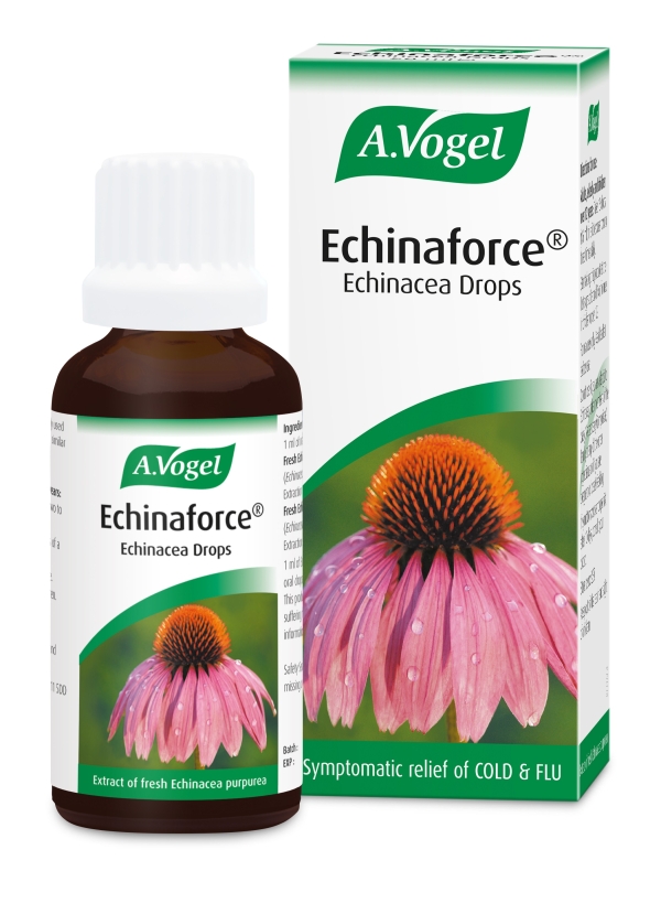 A. Vogel-Bioforce: Echinaforce Drops 50ml available online here