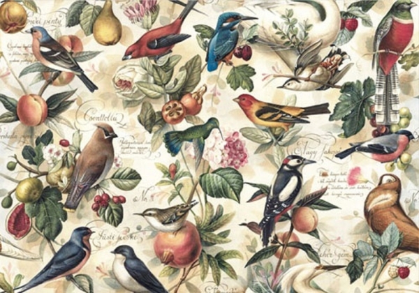 Bomo Art : Gift Wrapping Paper. Large Size 1m x 0.7m. Birds & Fruit Design x two available online here