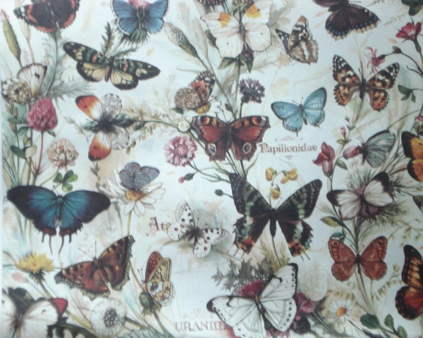 Bomo Art : Gift Wrapping Paper. Large Size 1m x 0.7m. Butterflies Design x two available online here