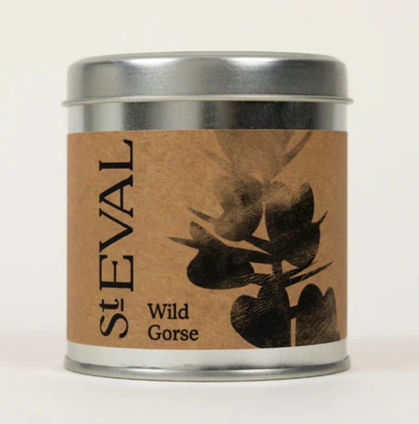 St Eval Candles: Wild Gorse Scented Candle in a Tin available online here