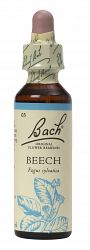 Bach Beech Flower Remedy (20ml)