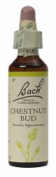 Bach Chestnut Bud Flower Remedy (20ml)