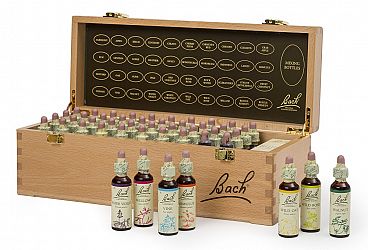 Bach Complete set of 20ml Flower Remedies