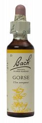 Bach Gorse Flower Remedy (20ml)