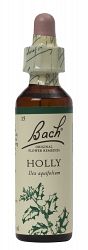 Bach Holly Flower Remedy (20ml)