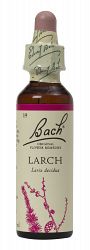 Bach Larch Flower Remedy (20ml)