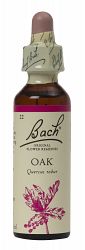 Bach Oak Flower Remedy (20ml)