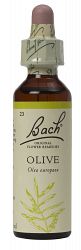 Bach Olive Flower Remedy (20ml)