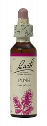 Bach Pine Flower Remedy (20ml)