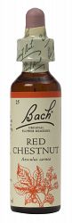 Bach Red Chestnut Flower Remedy (20ml)