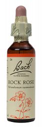 Bach Rock Rose Flower Remedy (20ml)