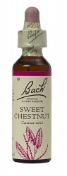 Bach Sweet Chestnut Flower Remedy (20ml)