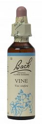 Bach Vine Flower Remedy (20ml)