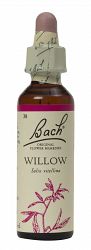Bach Willow  Flower Remedy (20ml)