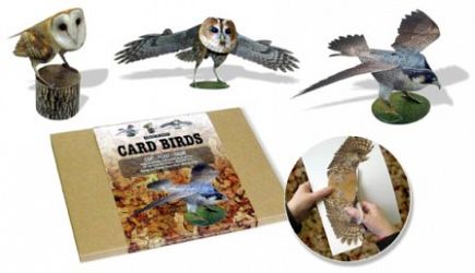 Card Birds of Prey. Three Dimensional Card Birds