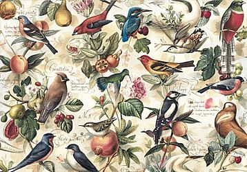 Gift Wrapping Paper. Large Size 1m x 0.7m. Birds & Fruit Design x two