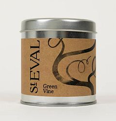 Green Vine Scented Candle in a Tin