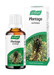 Plantago 50ml
