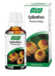 Spilanthes 50ml