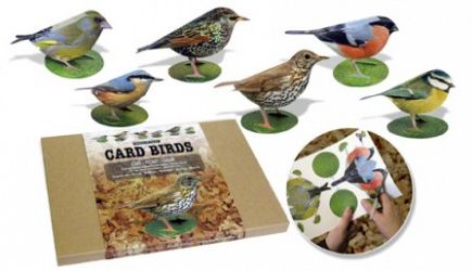 Three Dimensional Card Birds