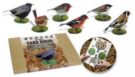 Three Dimensional Card Birds No 2