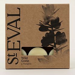 Wild Gorse Tealights (9) two packs